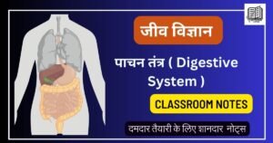 जीव विज्ञान ( Biology ) : पाचन तंत्र ( Digestive System ) क्लासरूम नोट्स