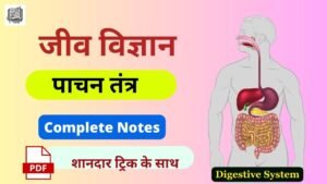 Digestive System Notes Pdf in Hindi